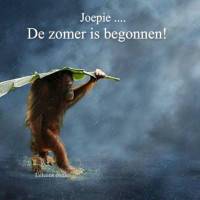 Joepie... De zomer...