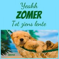 Yeahh Zomer, Tot...