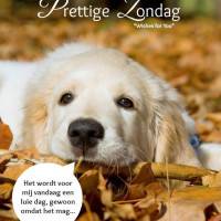 Prettige Zondag