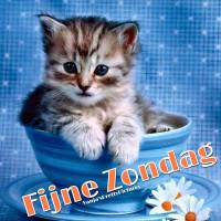 Fijne Zondag