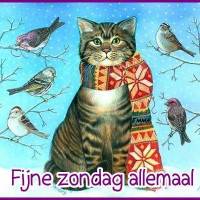 Fijne zondag...