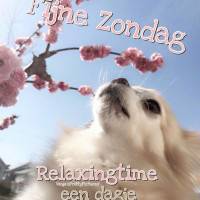 Fijne Zondag...