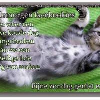 Goedemorgen...