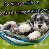 Goedemorgen ieder...