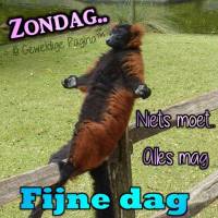 Zondag. Niets...