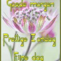 Goede morgen...