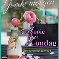 Goede morgen. Mooie...