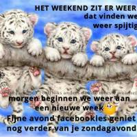 Het weekend zit er...