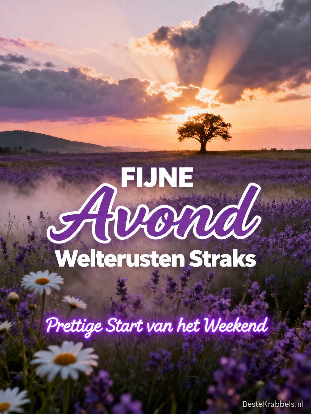 Vrijdagavond plaatje