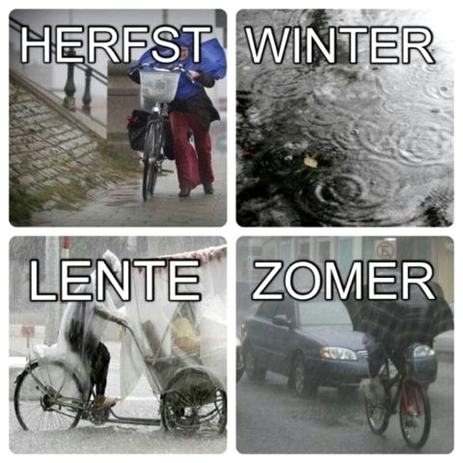Herfst, Winter, Lente, Zomer...